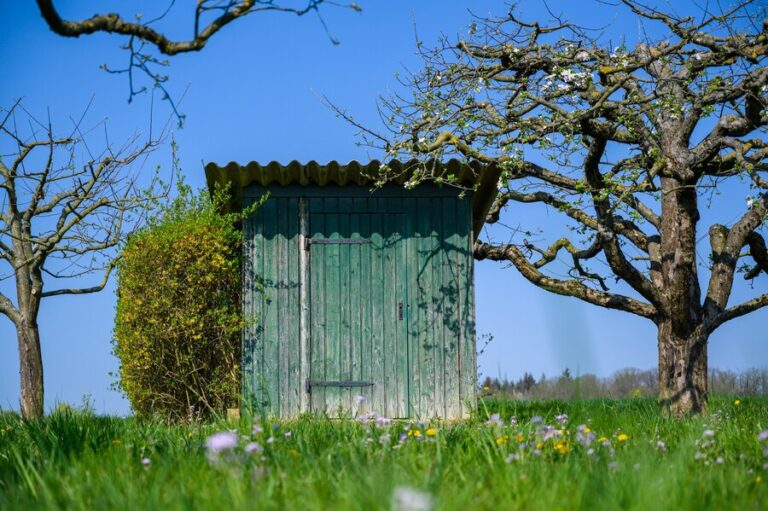 Garden Sheds