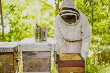 BeeSuit